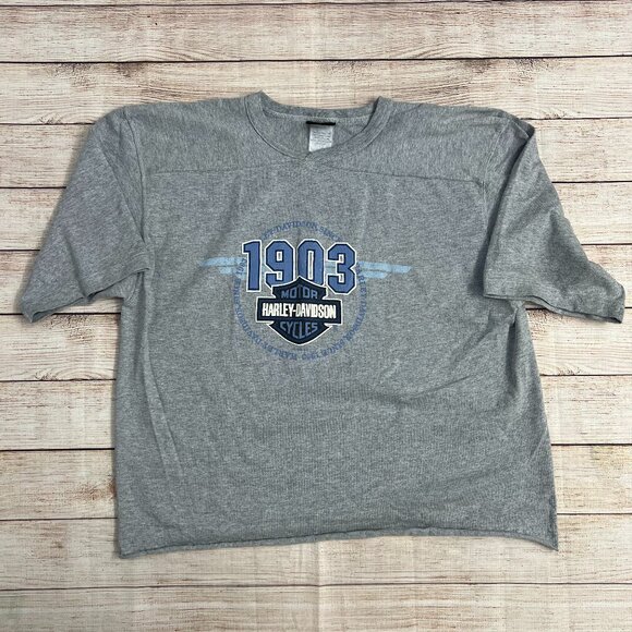 Vintage Harley Davidson 1903 Cropped Sweatshirt Gray Size L Upcycled Distressed - Picture 1 of 7
